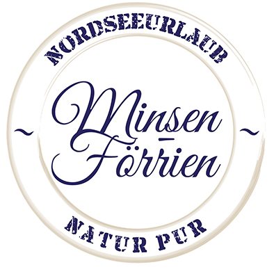 Minsen-Foerrien